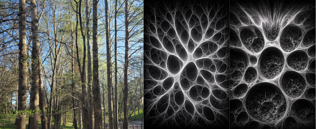 Cluster of trees transformed into a recursive void-space fractal structure