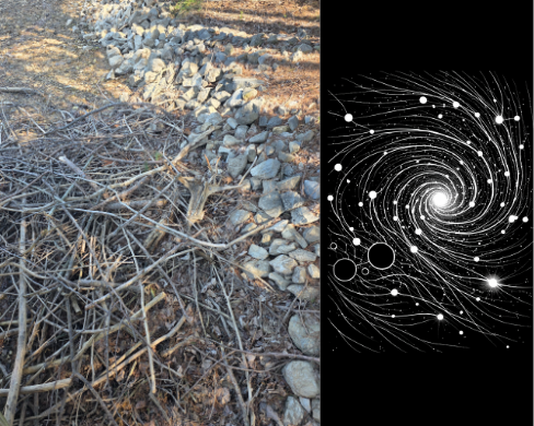 Pile of twigs transformed into a gravitational spiral of filaments and nodes