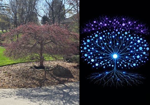 Japanese ornamental bush transformed into a radial blue and violet branching network